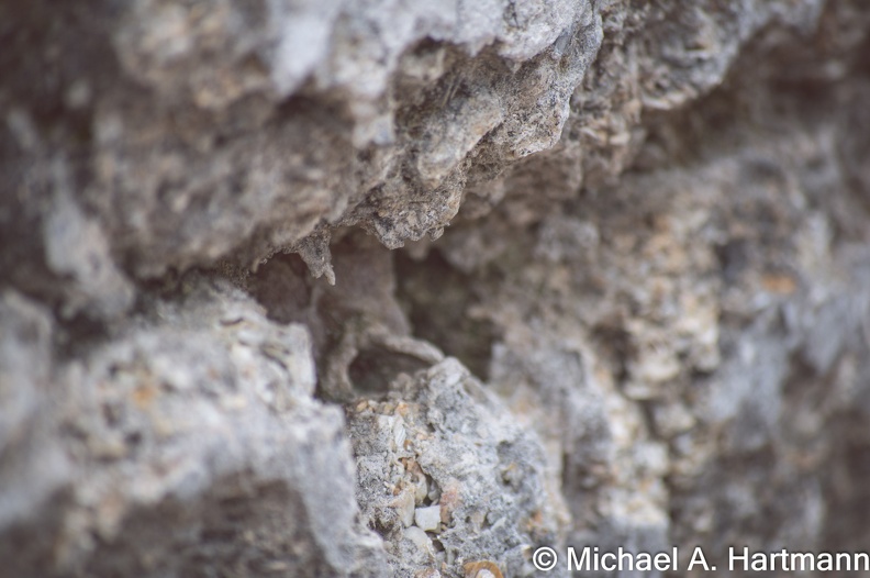 DSC_0077-web.jpg
