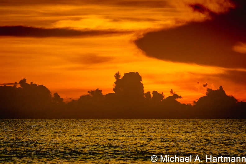 DSC_0145-web.jpg