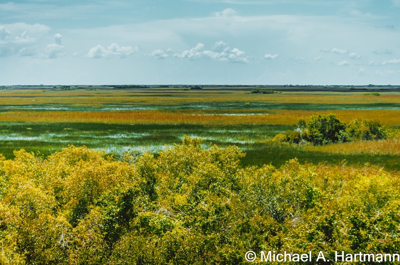 DSC_0281-web.jpg